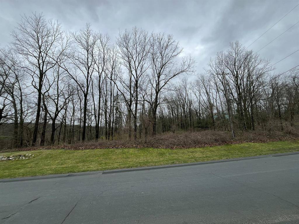 Texas Twp, MI 49009,7031 Glade Trail