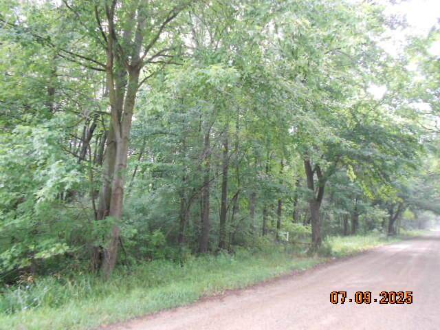 Brady Twp, MI 49097,15955 S 29th Street