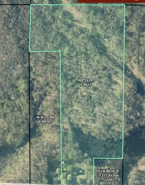 52599 36th Avenue, Arlington Twp, MI 49013