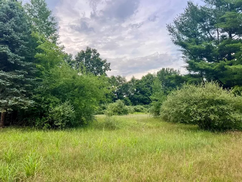 1143 38th Street, Cheshire Twp, MI 49010