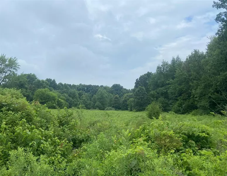 52700 Parkville Road, Park Twp, MI 49093