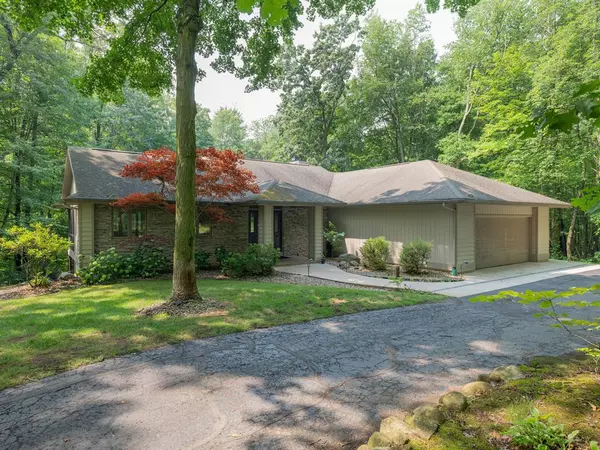 6115 Far Hills Way, Alamo Twp, MI 49009