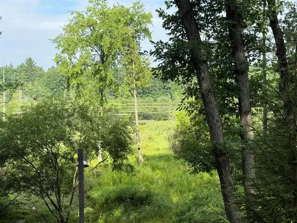 Pleasant Plains Twp, MI 49304,8733 S James Road