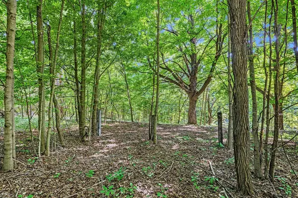 Antwerp Twp, MI 49079,V/L 56th Avenue