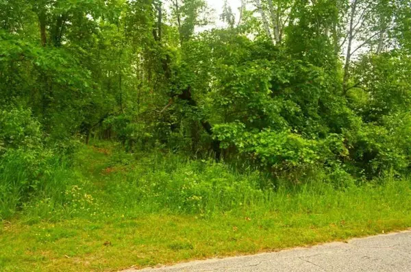 Harbor Drive, Summit Twp, MI 49449