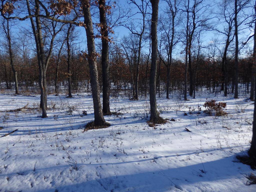 Manistee Twp, MI 49660,28.88 Acres Eastlake Rd