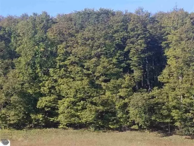 00 W 18 1/2 Road, Antioch Twp, MI 49668