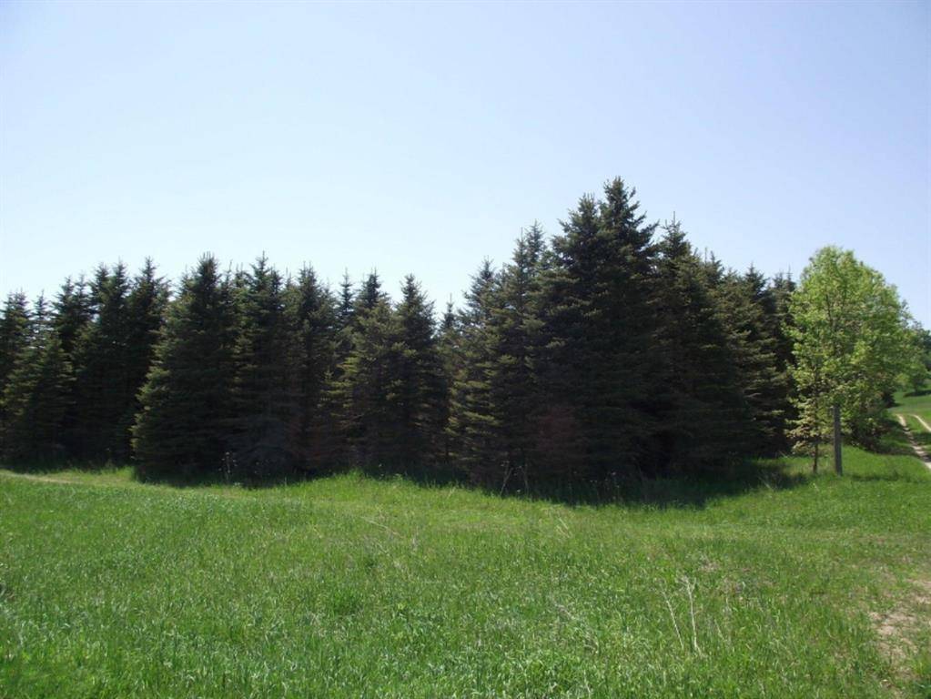 Chief Road, Bear Lake Twp, MI 49614