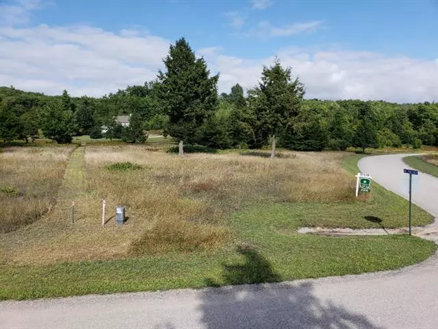 Eagle Ridge Circle Lot 141, Onekama Twp, MI 49675