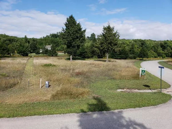 Onekama Twp, MI 49675,Eagle Ridge Circle Lot 141