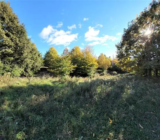 Onekama Twp, MI 49675,North Slope Drive Lot 114