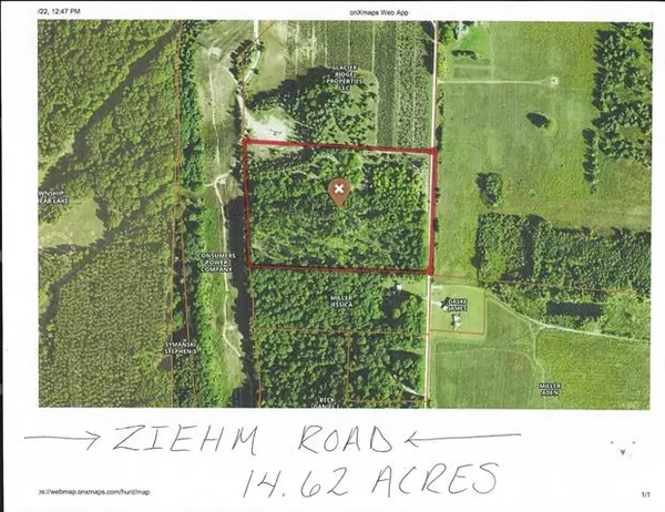 Bear Lake Twp, MI 49614,Ziehm Road