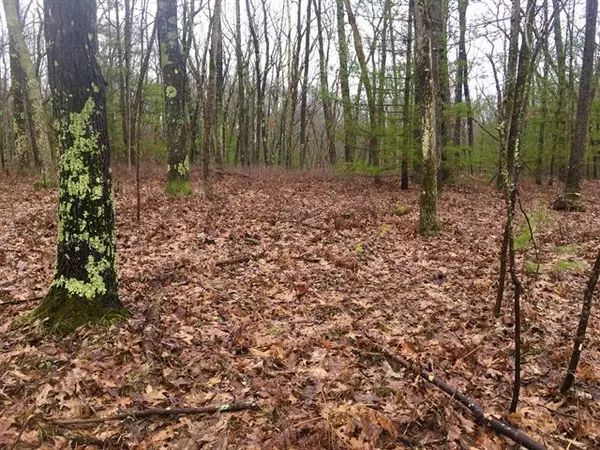 Lake Twp, MI 49304,Trail of the Lakes ; Modifier: v/l 2 lots