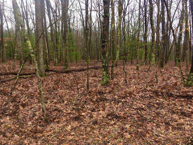 Lake Twp, MI 49304,Trail of the Lakes ; Modifier: v/l 2 lots