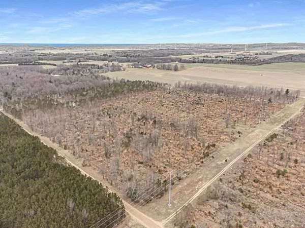 Weare Twp, MI 49449,13.6 Acres W Adams Road