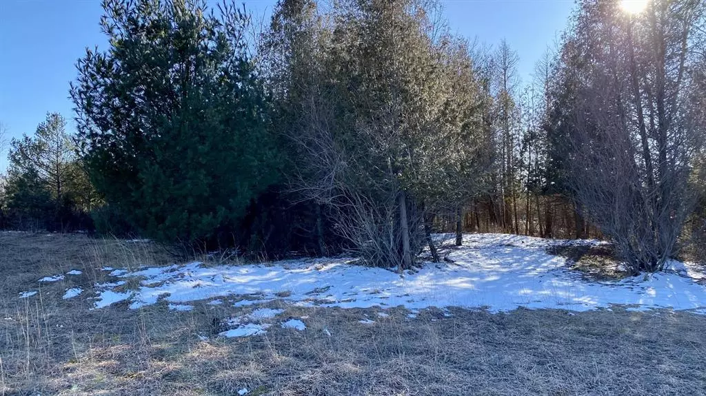 Greenway Lots 1, 2, 20, Onekama Twp, MI 49675