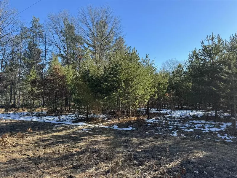 Parcel D Arquilla Creek, Dickson Twp, MI 49638