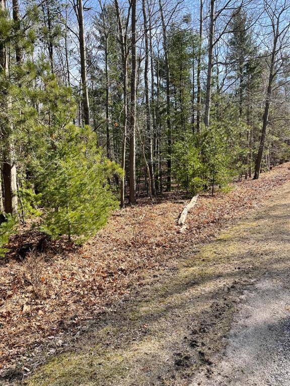 Filer Twp, MI 49660,Red Apple