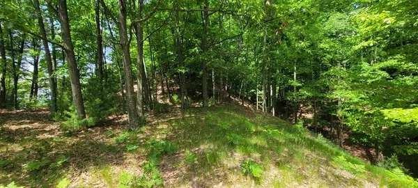 Summit Twp, MI 49449,0 Montgomery Modifier: vac land 19 Lots