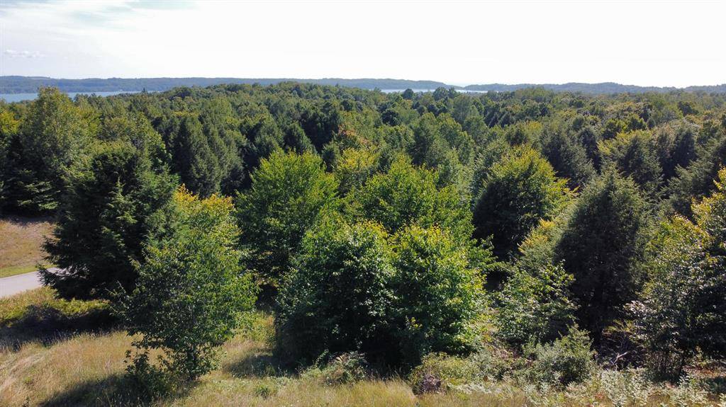 Onekama Twp, MI 49675,22 N Slope Drive