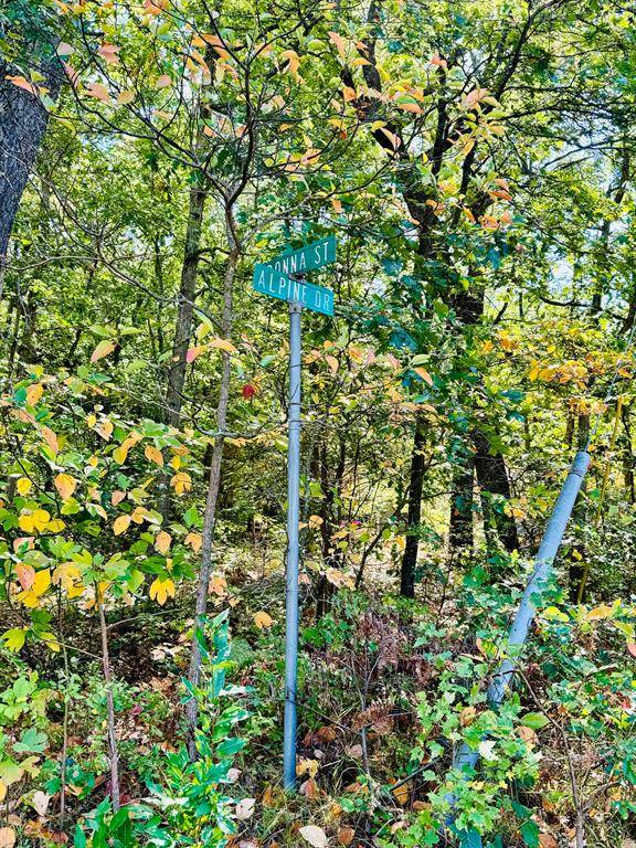 Branch Twp, MI 49410,E Donna Street