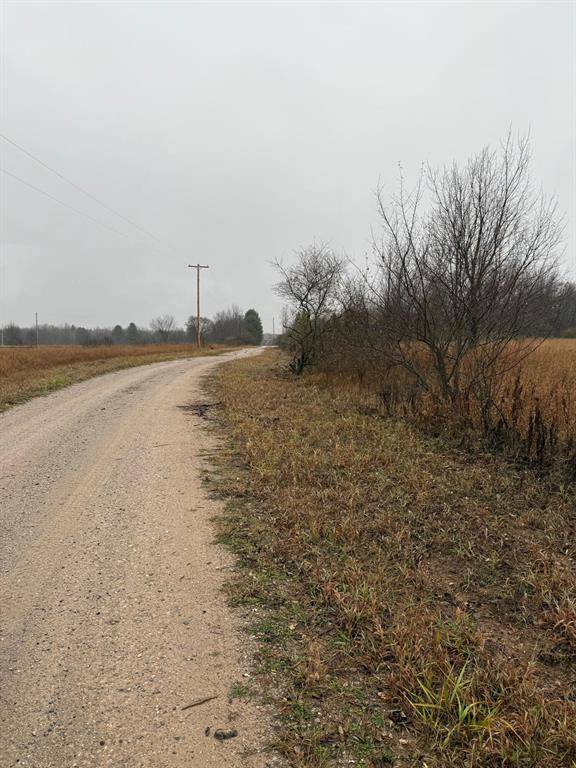Bear Lake Twp, MI 49645,Tannerville