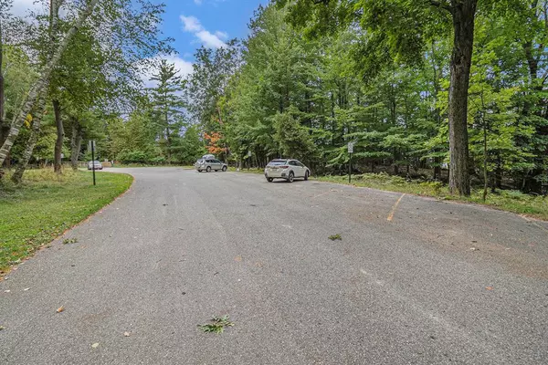 Golden Twp, MI 49436,Lot 14 Pine Street
