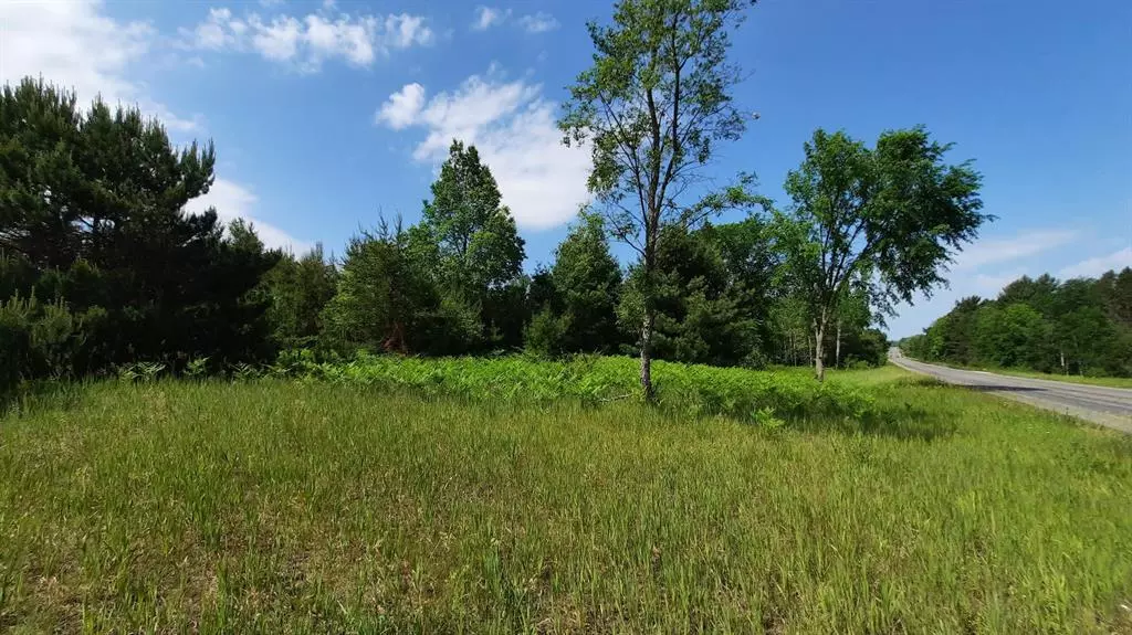19.5 Acres 9 Mile Road, Maple Grove Twp, MI 49645