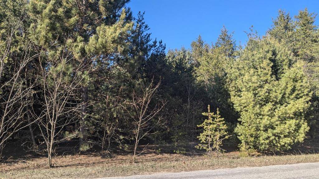 0 Tenth Street, Bear Lake Twp, MI 49614