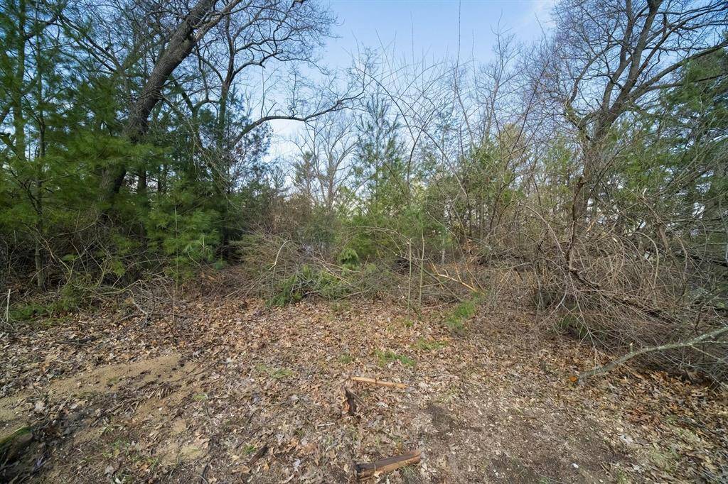 Filer Twp, MI 49660,0 Nelson Street