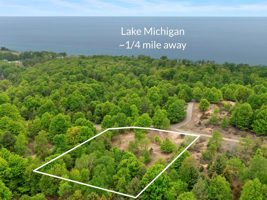 15380 Lake Bluff Drive, Arcada Twp, MI 49613