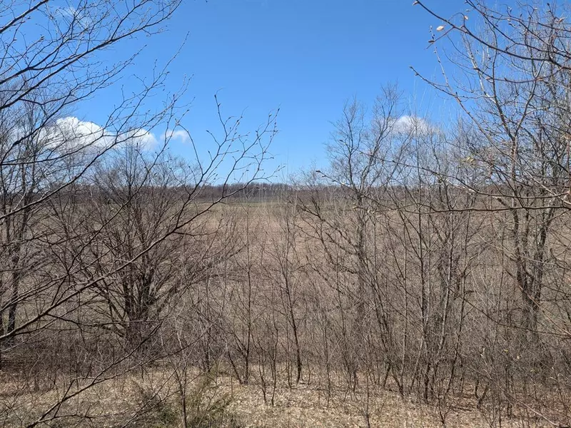 Butwell part 2 Road, Pleasanton Twp, MI 49614