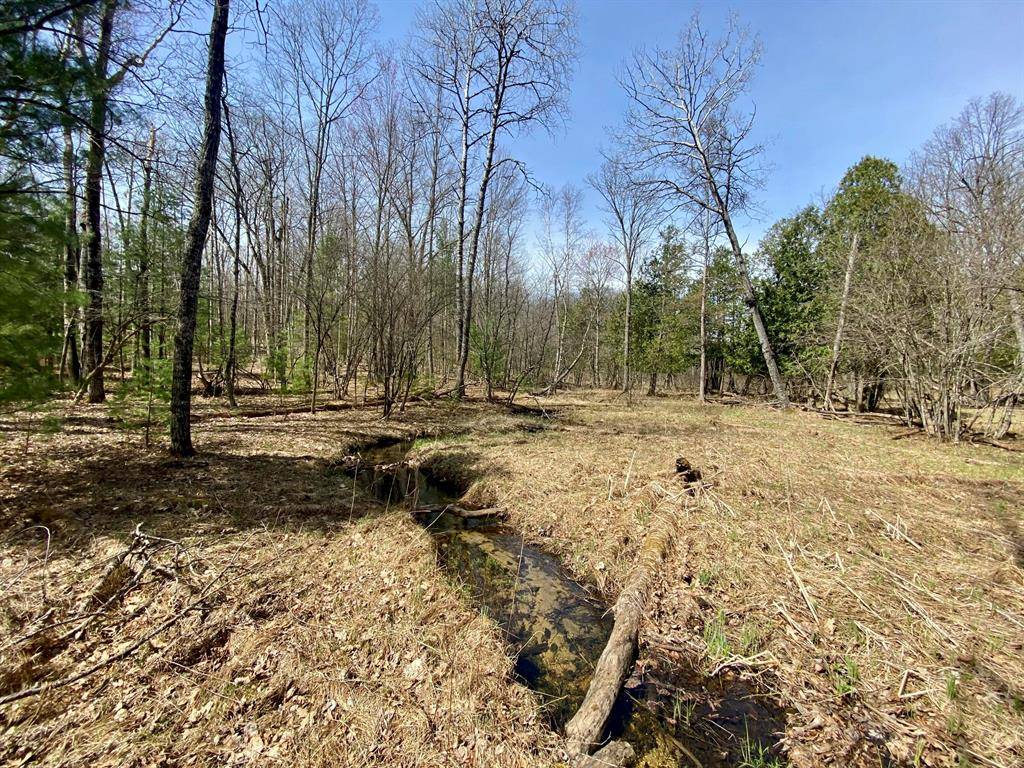 9.75 Acres Snyder Rd, Norman Twp, MI 49689