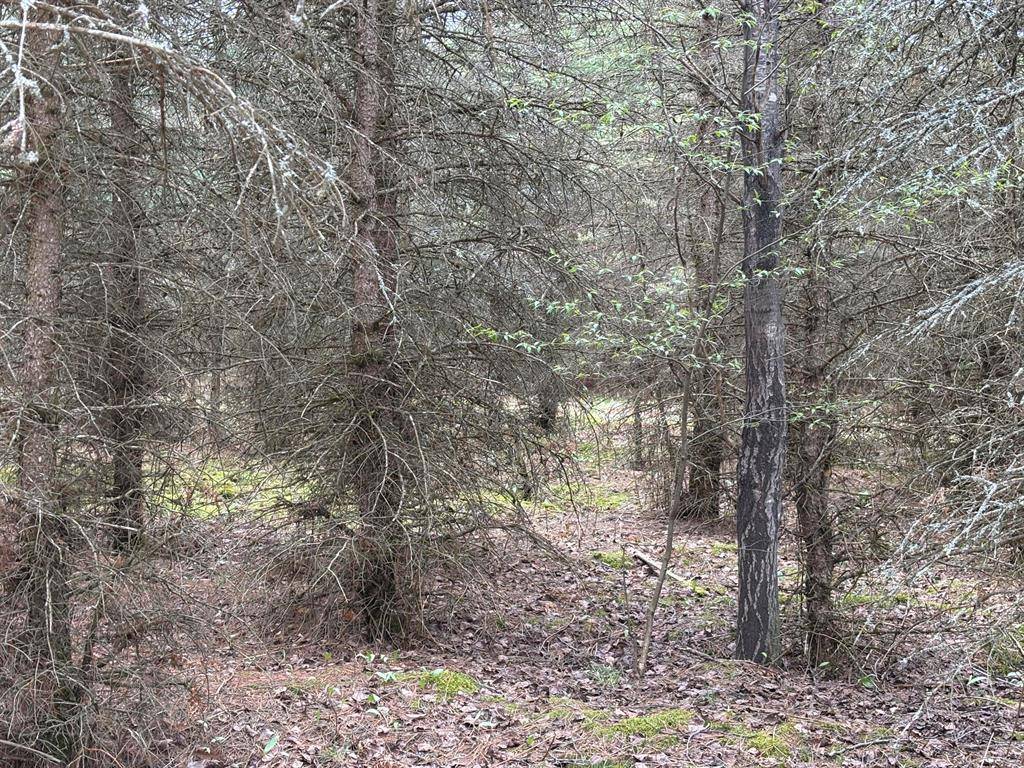 Cleon Twp, MI 49625,001 Adams Road