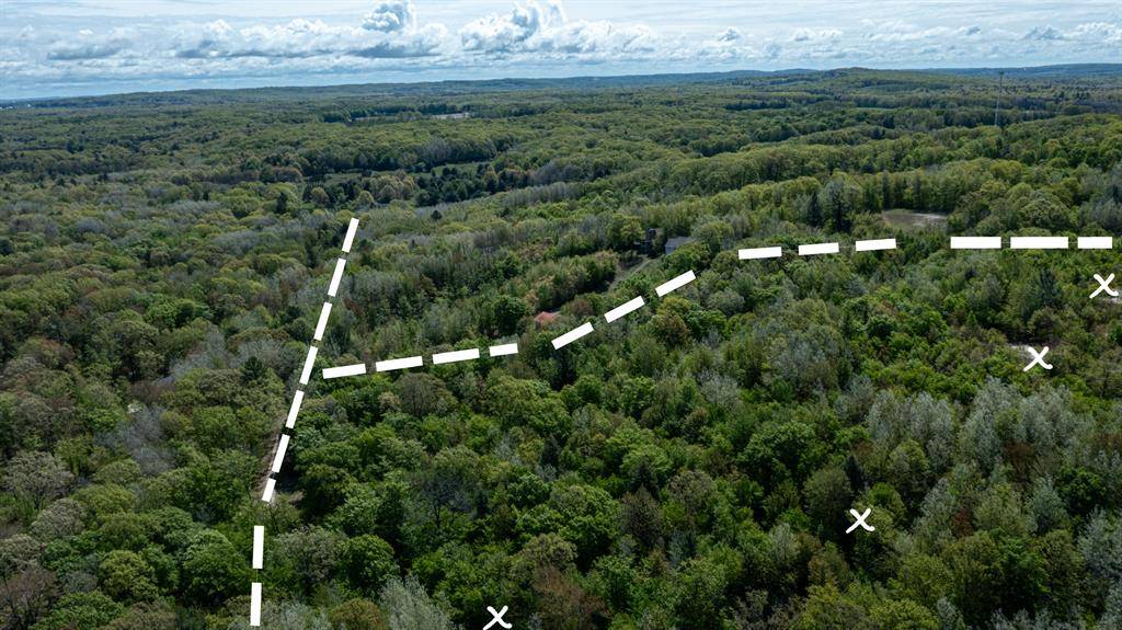 Golden Twp, MI 49436,Parcel C N 28th Avenue
