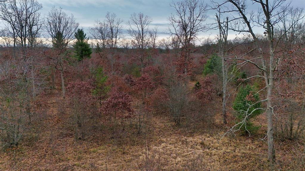 Stronach Twp, MI 49660,3726 N Custer Road