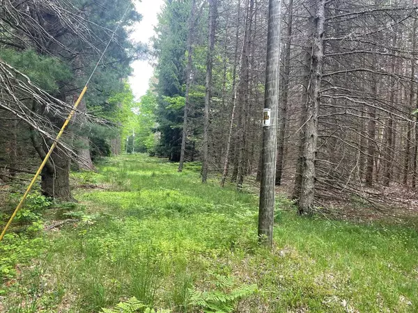 SILVER LAKE DR Drive, Benona Twp, MI 49455
