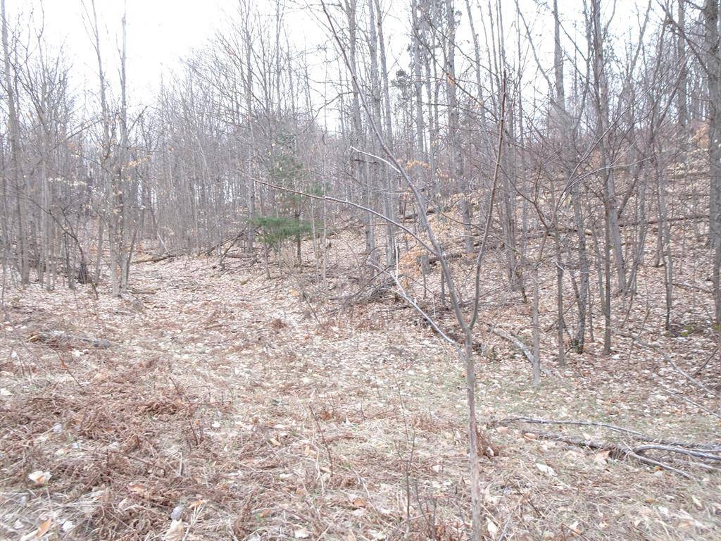 Bear Lake Twp, MI 49614,Chief ''M'' Road