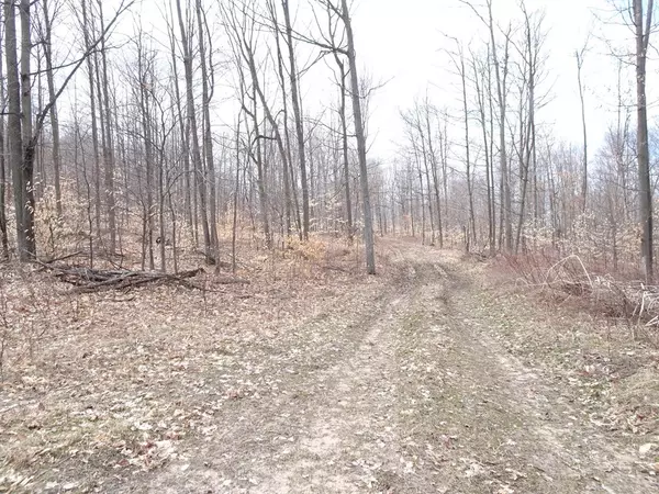 Bear Lake Twp, MI 49614,Chief ''D'' Road