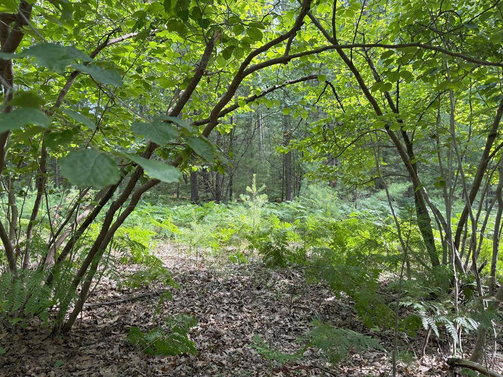 Filer Twp, MI 49660,Critter Trail Modifier: V/L Parcel B