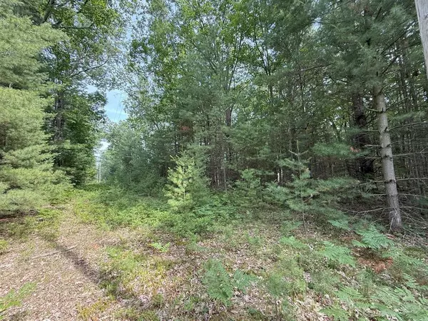 Critter Trail Modifier: V/L Parcel B,  Filer Twp,  MI 49660