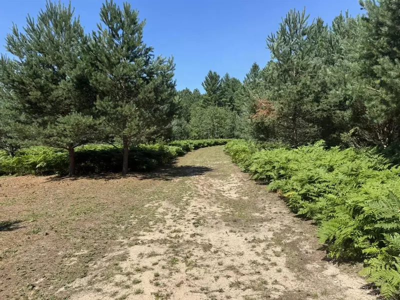 N Coates Highway, Dickson Twp, MI 49638
