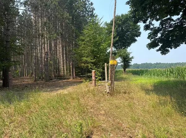 Marilla Twp, MI 49625,11482 Litzen Road