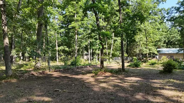 Norman Twp, MI 49689,4086 Joseph Street