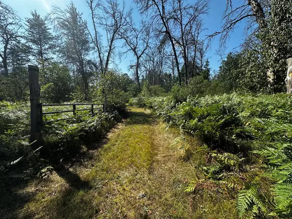 1509 E 10 Mile Road, Eden Twp, MI 49644