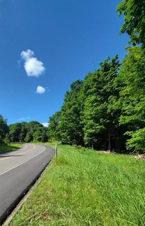 Arcadia Twp, MI 49613,M22