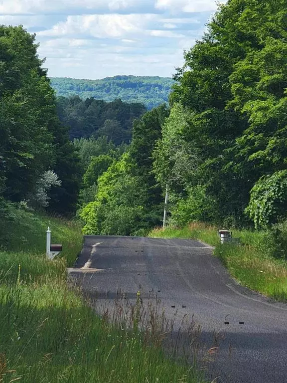 Maxey Road 7.2 acres, Arcadia Twp, MI 49613