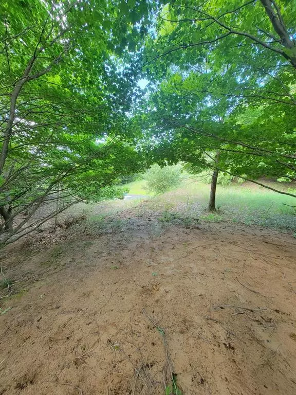 Arcadia Twp, MI 49613,Maxey Road 7.2 acres