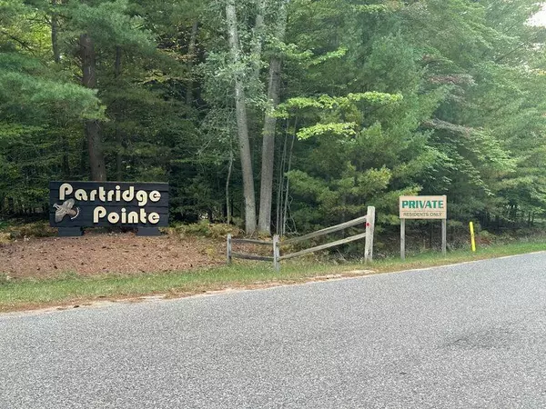 Hamlin Twp, MI 49431,Whitetail Lane Lot 5