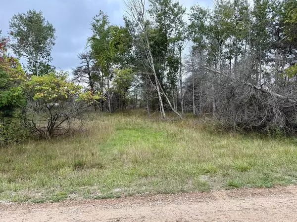 Onekama Twp, MI 49675,1 Greenway